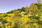 Quaint Catskills Cabin with Panoramic Views