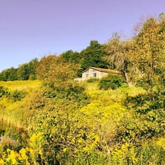 Quaint Catskills Cabin with Panoramic Views