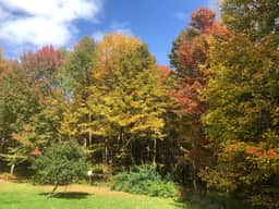 12 Acres of Country Life • Magical Catskills Home