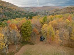 Off-Grid Catskills Cabin on 4 Private Acres
