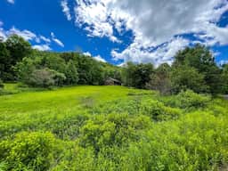 Cozy Rustic Log Cabin • Perfect Catskills Stay - Image 4