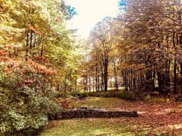 12 Acres of Country Life • Magical Catskills Home - Image 5