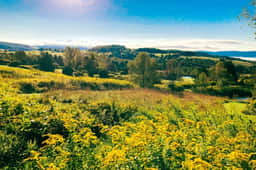 Quaint Catskills Cabin with Panoramic Views - Image 5