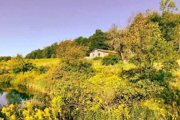 Quaint Catskills Cabin with Panoramic Views - Image 1