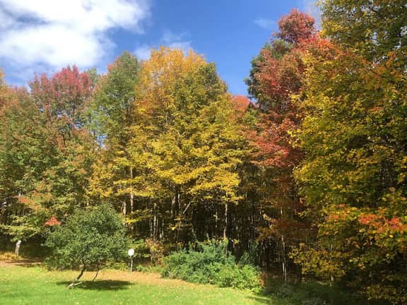 12 Acres of Country Life • Magical Catskills Home
