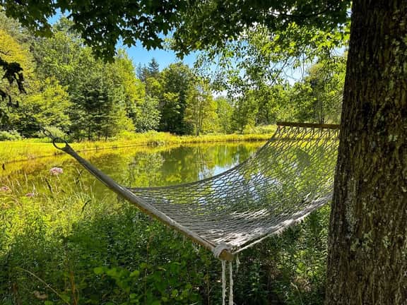 Golden Hour in the Catskills • Cozy Hideaway