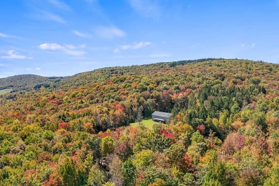 Spacious 9BR Catskills Retreat • Views + Game Room