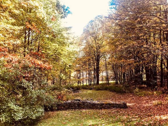 12 Acres of Country Life • Magical Catskills Home - Image 5