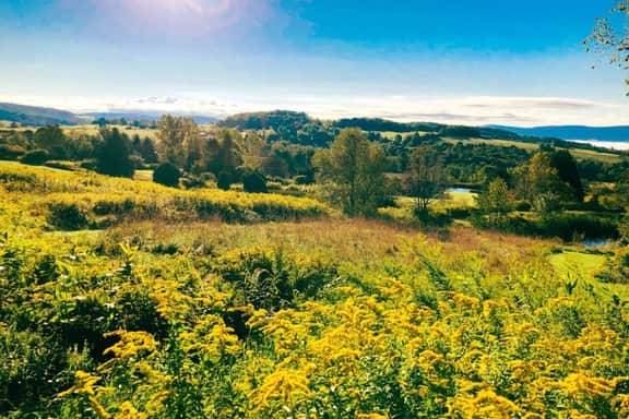 Quaint Catskills Cabin with Panoramic Views - Image 5