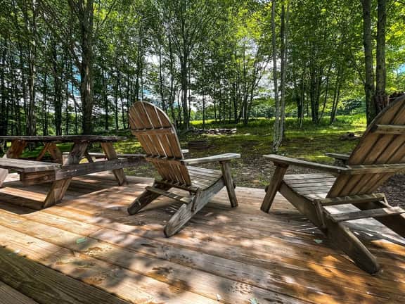 Off-Grid Catskills Cabin on 4 Private Acres - Image 4