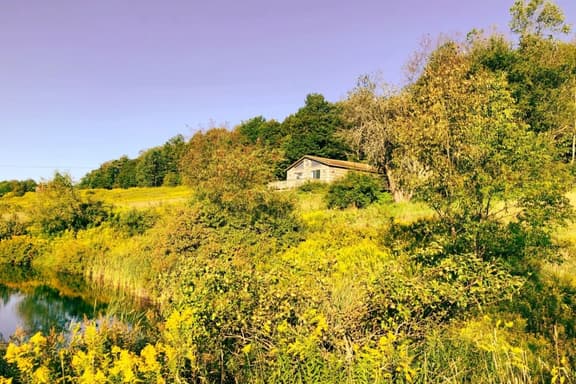 Quaint Catskills Cabin with Panoramic Views