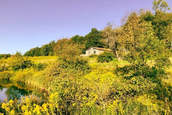 Quaint Catskills Cabin with Panoramic Views - Image 1