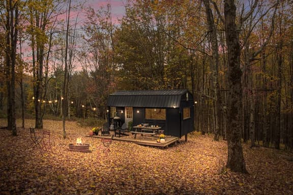 Off-Grid Catskills Cabin on 4 Private Acres - Image 1