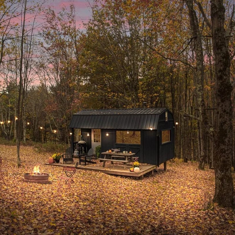 Off-Grid Catskills Cabin on 4 Private Acres